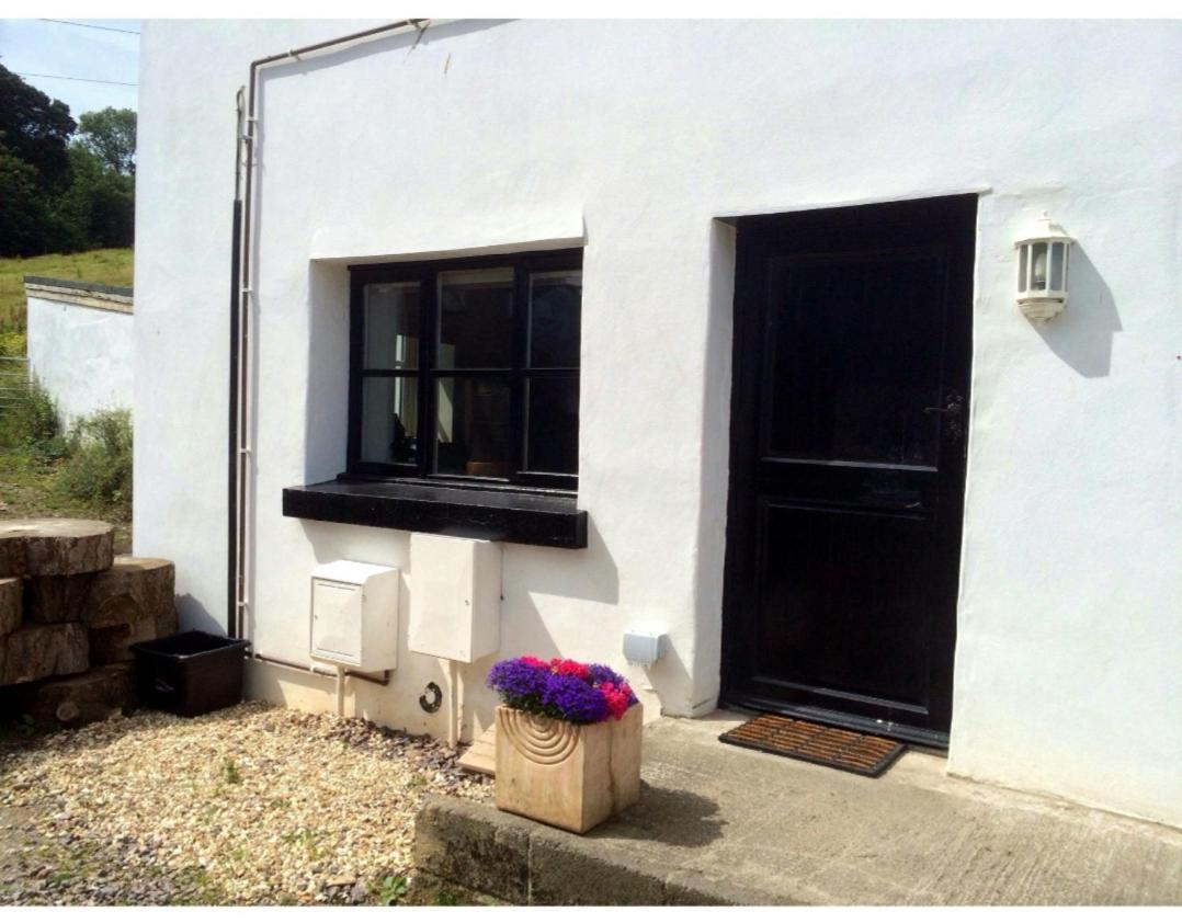 Laston Mews Ilfracombe Luaran gambar